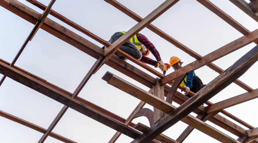 Professional gutter cleaning services in Louise, MS